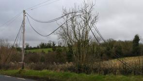 Copper wire thefts leave people without phone and internet connection for days