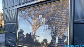 'A shocking decision' - Protesters condemn decision to &lsquo;discontinue&rsquo; Glasnevin memorial wall