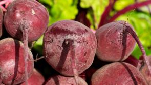 Beetroot product sold in Ireland recalled due to possible presence of GLASS fragments