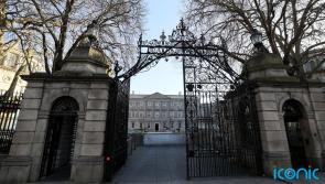 Sinn Fein TD claims she was victim of &lsquo;psychological warfare&rsquo; as she quits party