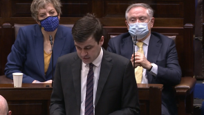 Opposition TDs criticise government's 'toothless' remote working Bill