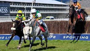 LIVE BLOG: Cheltenham 2022 DAY 3 results as they happen - Thursday, March 17