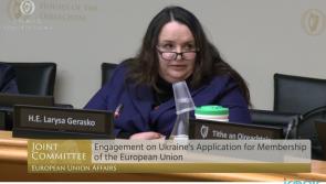 'It's time to act' - List of Irish companies continuing trade with Russia sent to Foreign Affairs Dept