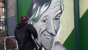 Hollywood hellraiser watches over Limerick city from second vantage point