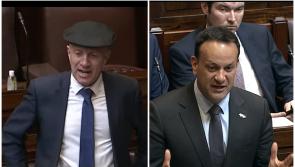 Michael Healy-Rae rules out apologising for 'airy fairies' comment to Varadkar