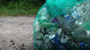 Councils across Ireland can use CCTV to catch illegal dumping later this year