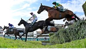 GRAND NATIONAL TIPS: The five horses I'm backing in the 2022 Aintree Grand National 