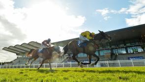 RACING: Preview and tips for the Irish Grand National at Fairyhouse this Easter Monday