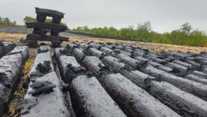 Health alliance says anything less than a full ban on sale of turf will 'cost lives'