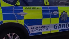 Female pedestrian dies following traffic collision 