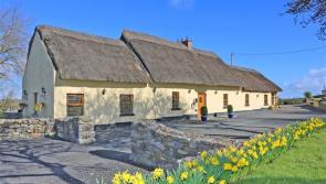 Limerick Property Watch: Modern living in the countryside