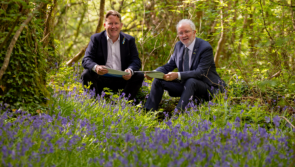 Investment of &euro;55million in Ireland's national parks service confirmed by ministers