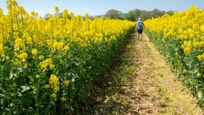 5 medication-free tips to tackle hay fever 