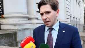 Ireland needs to ditch 'snobby' third level attitude to fill trade roles for house building