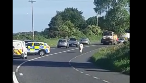 WATCH: Cute young animal causes Garda&iacute; some trouble on busy road this morning 