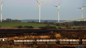 'We must think long-term' - Taoiseach calls for protection of biodiversity in Ireland 