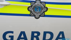 Garda&iacute; appeal for witnesses following fatal midlands crash