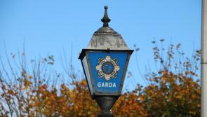 Man arrested after significant amount of cash seized by garda&iacute; during search at house