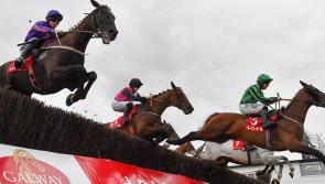 RACING: Your guide to Galway Hurdle day