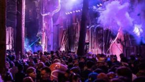 Mystery surrounds new wooded area at Electric Picnic 2022