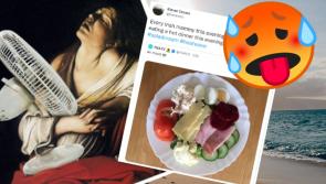 TWITTER REACTS: 15 tweets inspired by Costa del Ireland's scorcher heatwave