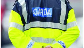Public has high level of trust in gardai, new survey finds 