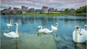 Discover Limerick - A new chapter for King John&rsquo;s Castle!