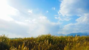 WEATHER WATCH: Mainly dry and sunny this weekend with scattered showers expected in places