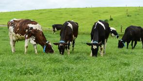 Cost of fertiliser and feed prices continue to soar for agriculture industry