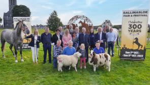 Thousands to gather for Ireland's huge festival of the horse