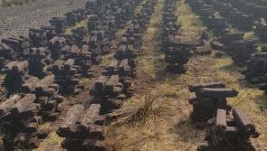 Ireland faces case for not stopping turf cutting on protected bogs