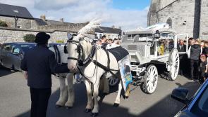 WATCH: Funeral of Kerry assault victim Thomas Dooley takes place in Midlands
