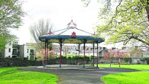 Wildlife About Wildlife: Exploring the People&rsquo;s Park in Limerick 