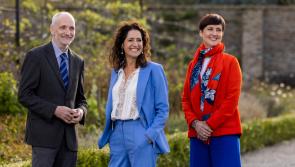 Creative show garden designers  sought for Bloom festival