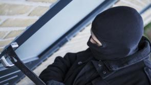 Arrests made in Dublin following spate of burglaries in five rural counties