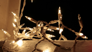 Irish consumer group warns of electric shock risk from fairy lights sold on popular site