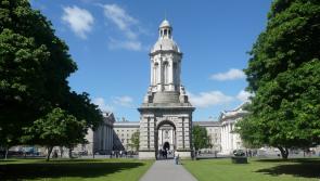 Seven Irish universities rise in worldwide rankings with one in top 100