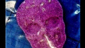 WATCH: HSE outlines drug testing plans at Electric Picnic