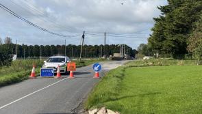 Discovery of hand grenade close to Limerick/Tipperary border sparks alert