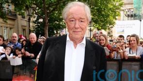 Beloved Irish actor who starred as Dumbledore in Harry Potter films dies aged 82