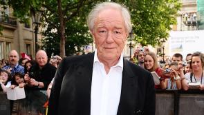 Harry Potter stars lead tributes to Irish actor Michael Gambon who played Albus Dumbledore