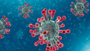 Warning as Irish holidaymakers return from Spain with nasty illness 