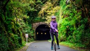 The glory of the autumnal Limerick Greenway - Green Limerick