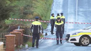 Two teenagers killed in Donegal crash were returning from work