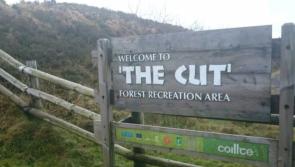 Notoriously 'hard to find' Laois leisure spot's viral signpost has been replaced