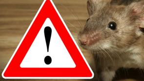 ALERT: Frozen vegetables recalled due to potential MOUSE contamination