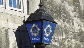 Man due in court over fatal Christmas Eve assault at Dublin restaurant 