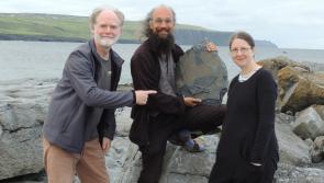 &lsquo;Extraordinary&rsquo; 315-million-year-old fossil sponge found near the Cliffs of Moher