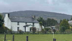 'They could cover the roof with the grant application forms' - Viewers react to new Room to Improve