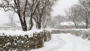 Met &Eacute;ireann extends cold weather warnings again amid snow threat for four counties